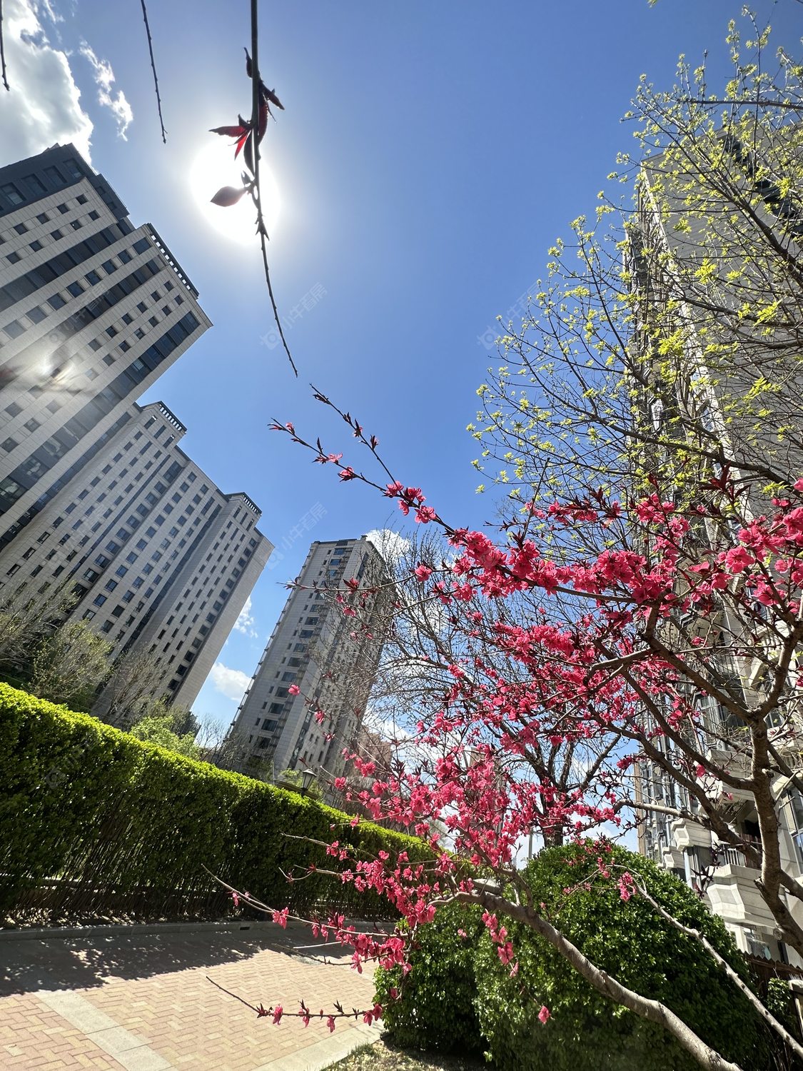 北京臻园在租房源室内图_小牛看房